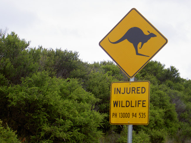 Great Ocean Road