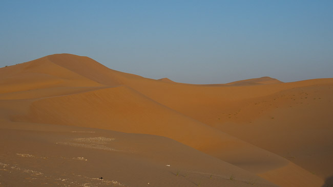 Пустиня